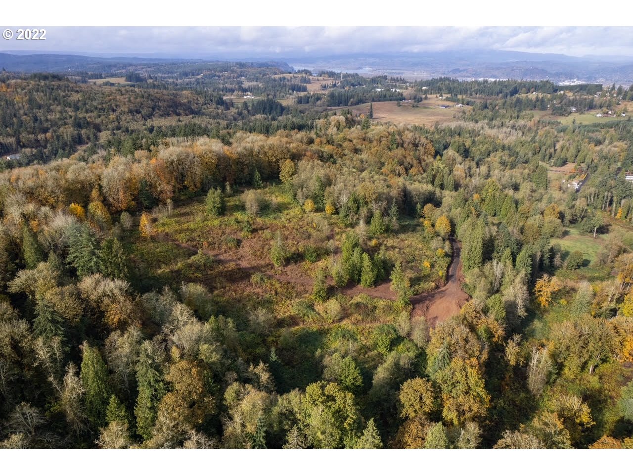 0 Deal Road Rainier, OR 97048 - Photo 7 of 9 a view of a city with lush green forest