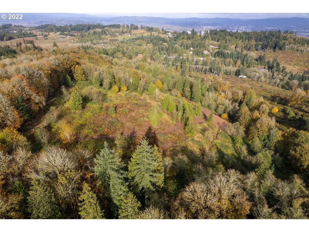 0 Deal Road Rainier, OR 97048 - Photo 8 of 9 a view of a city with lush green forest