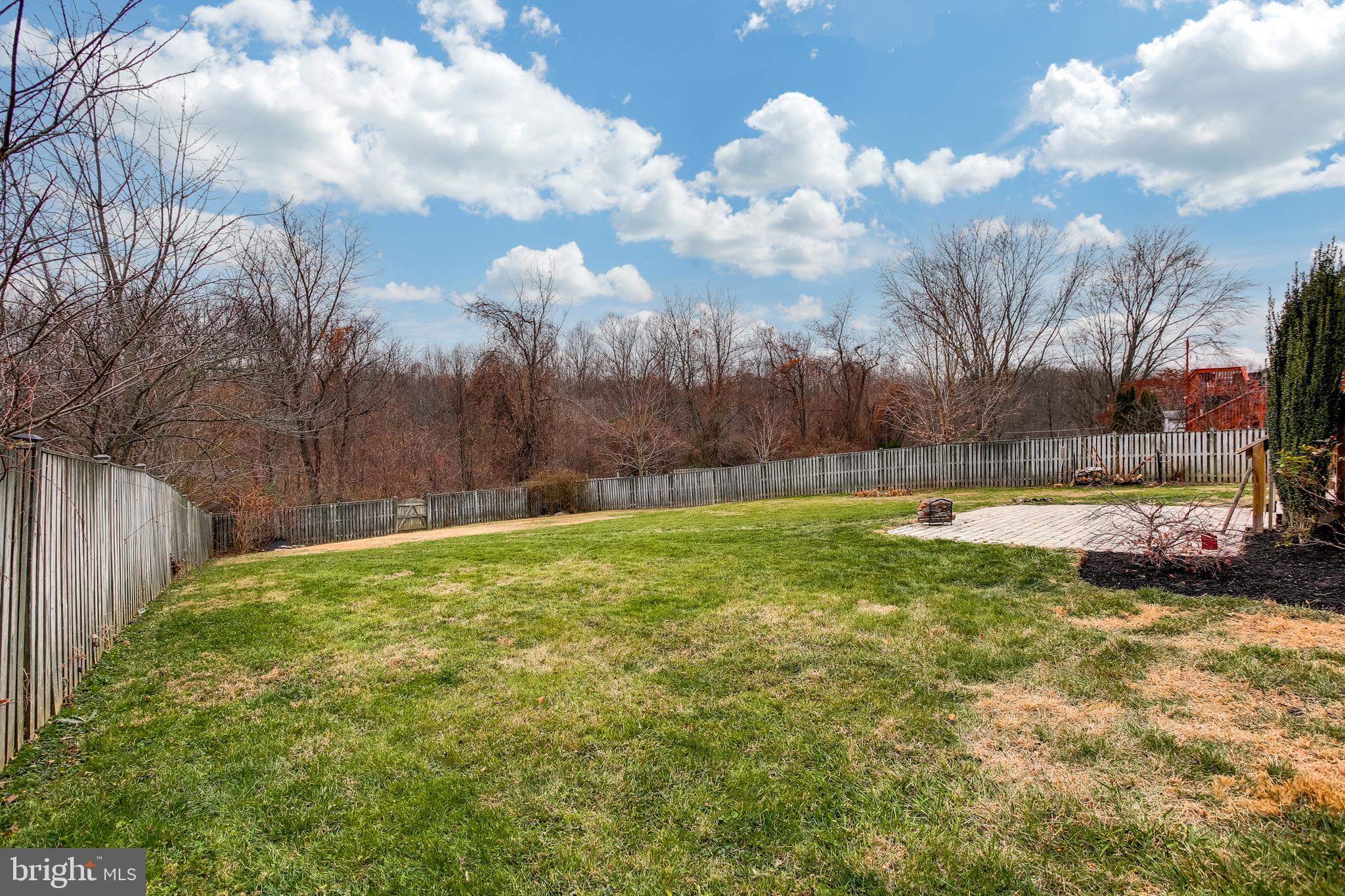14212 Twig Road Silver Spring, MD 20905 - Photo 35 of 36 Yard w/ Organic Garden Beds, Mature Berry Bushes