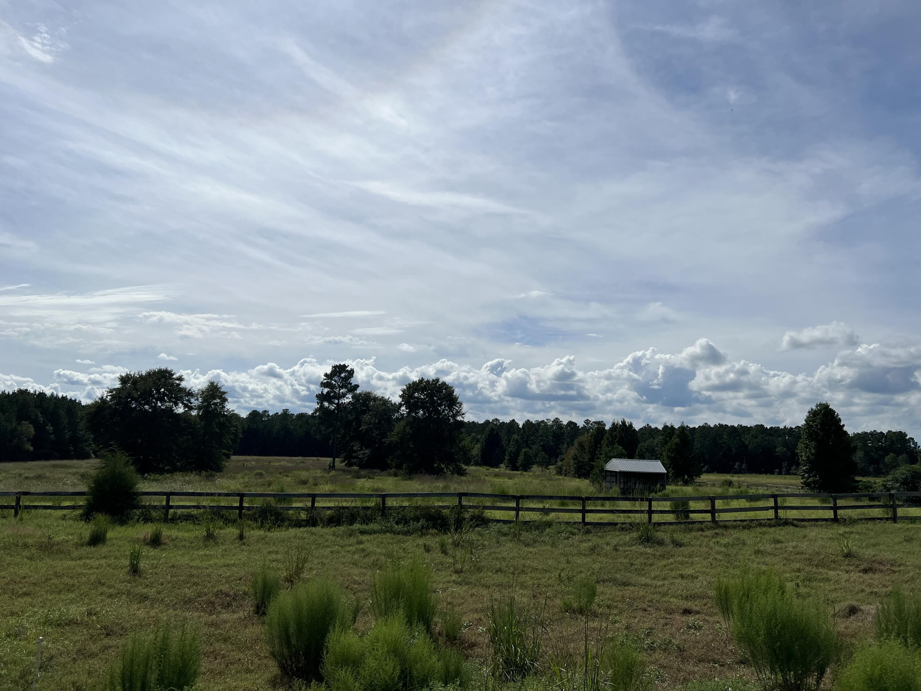 0 Flowing Well Road Wagener, SC 29164 - Photo 13 of 19