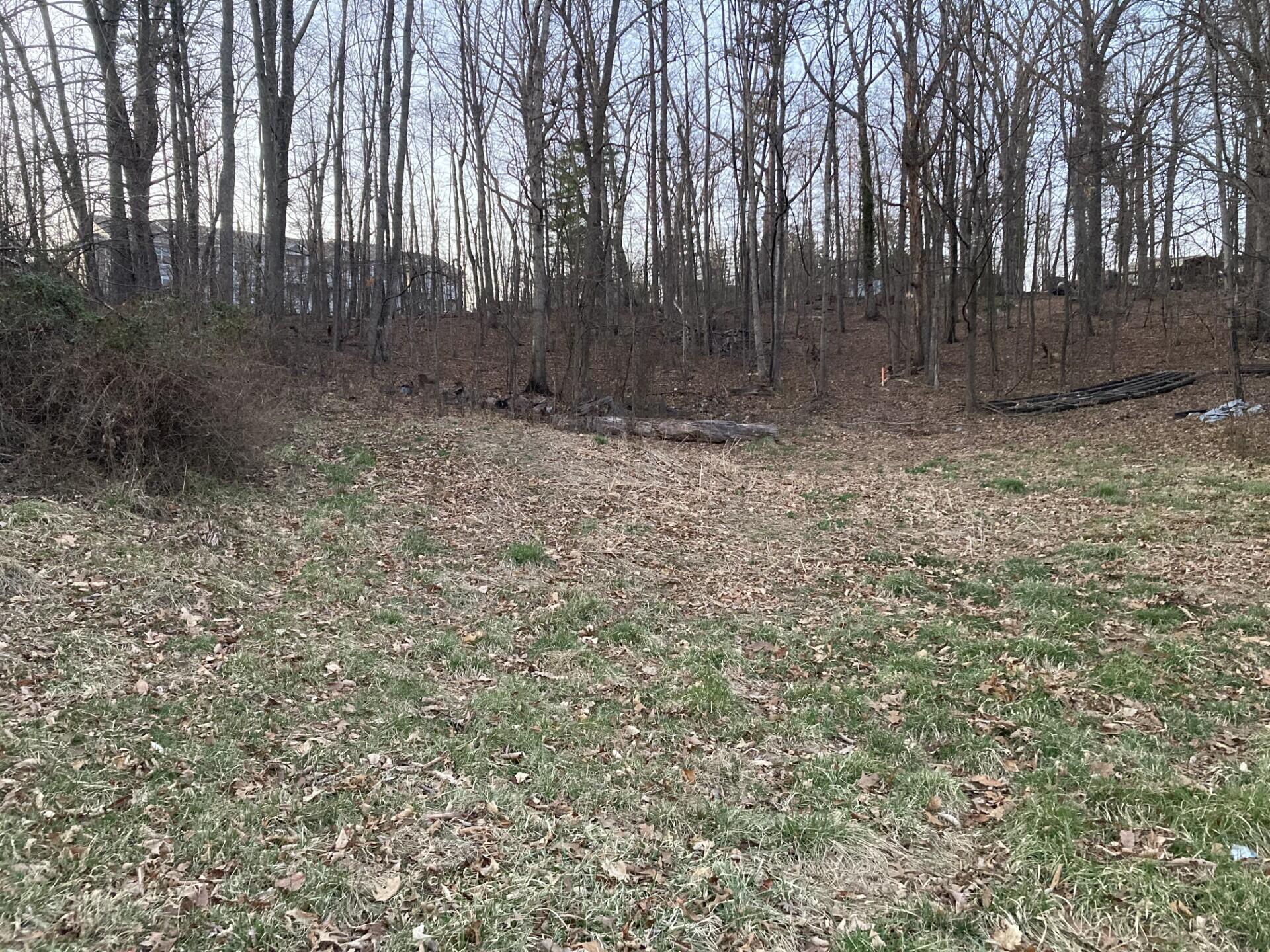 0 Plain View Avenue Roanoke, VA 24019 - Photo 1 of 1 a view of backyard with green space