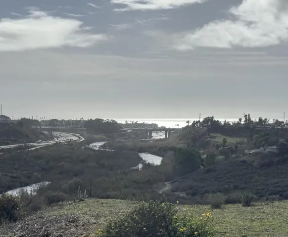 a view of a dry yard
