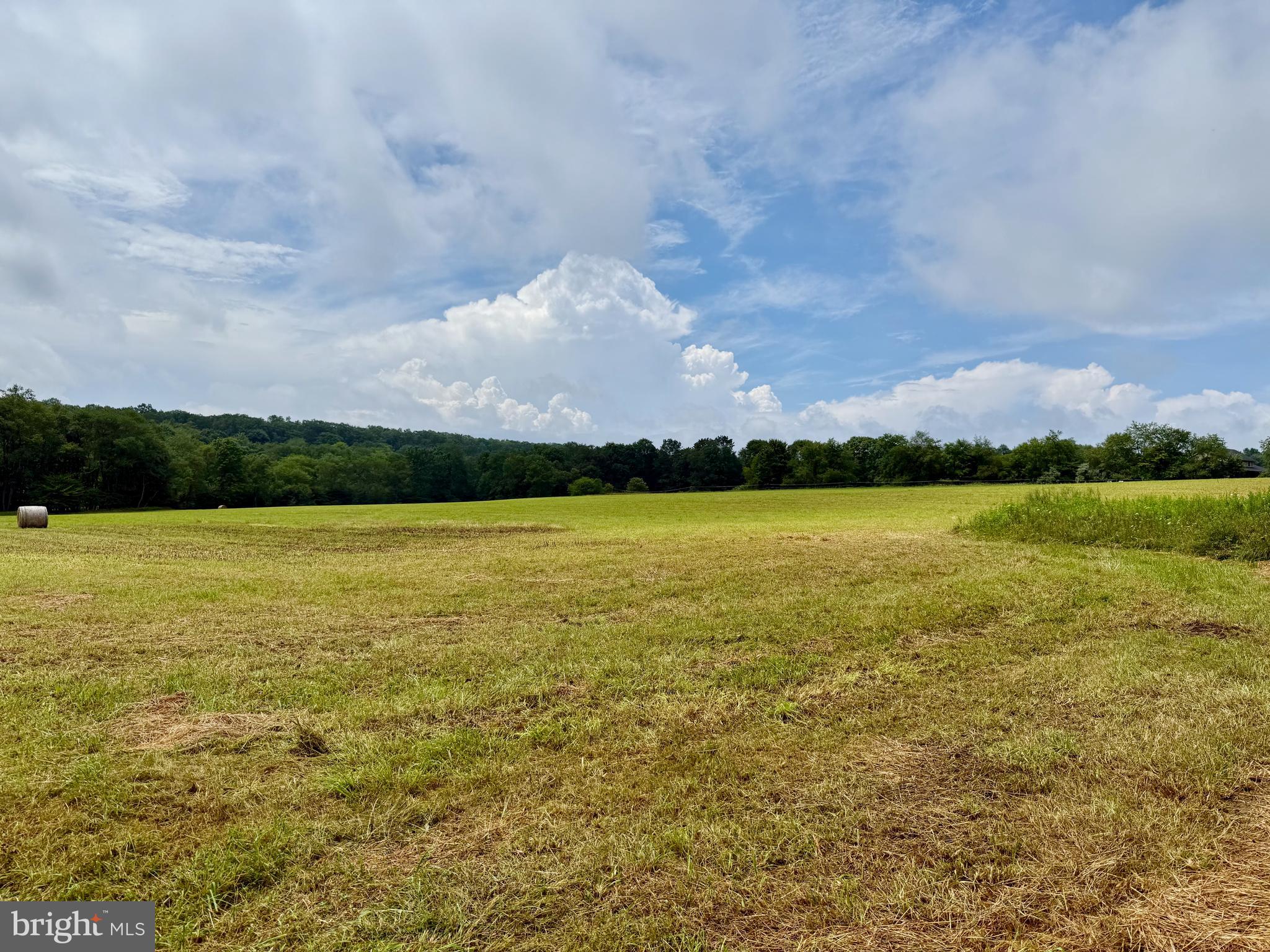 Sanders Lane Oakland, MD 21550 - Photo 5 of 46