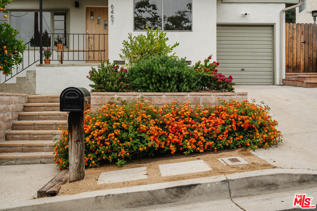 6457 Tokay Road Tujunga, CA 91042 - Photo 51 of 53 a view of a garden with flowers