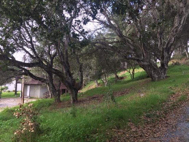 498 Echo Valley Road, Unit 2S Salinas, CA 93907 - Photo 5 of 16 Gallery Image 5