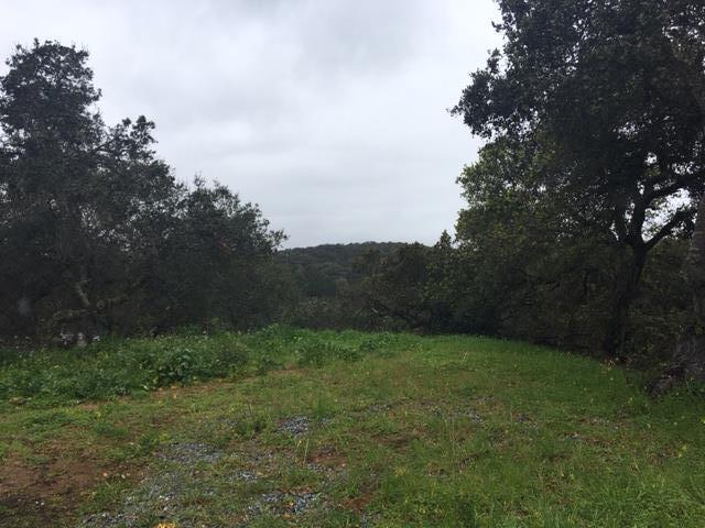 498 Echo Valley Road, Unit 2S Salinas, CA 93907 - Photo 8 of 16 Gallery Image 8