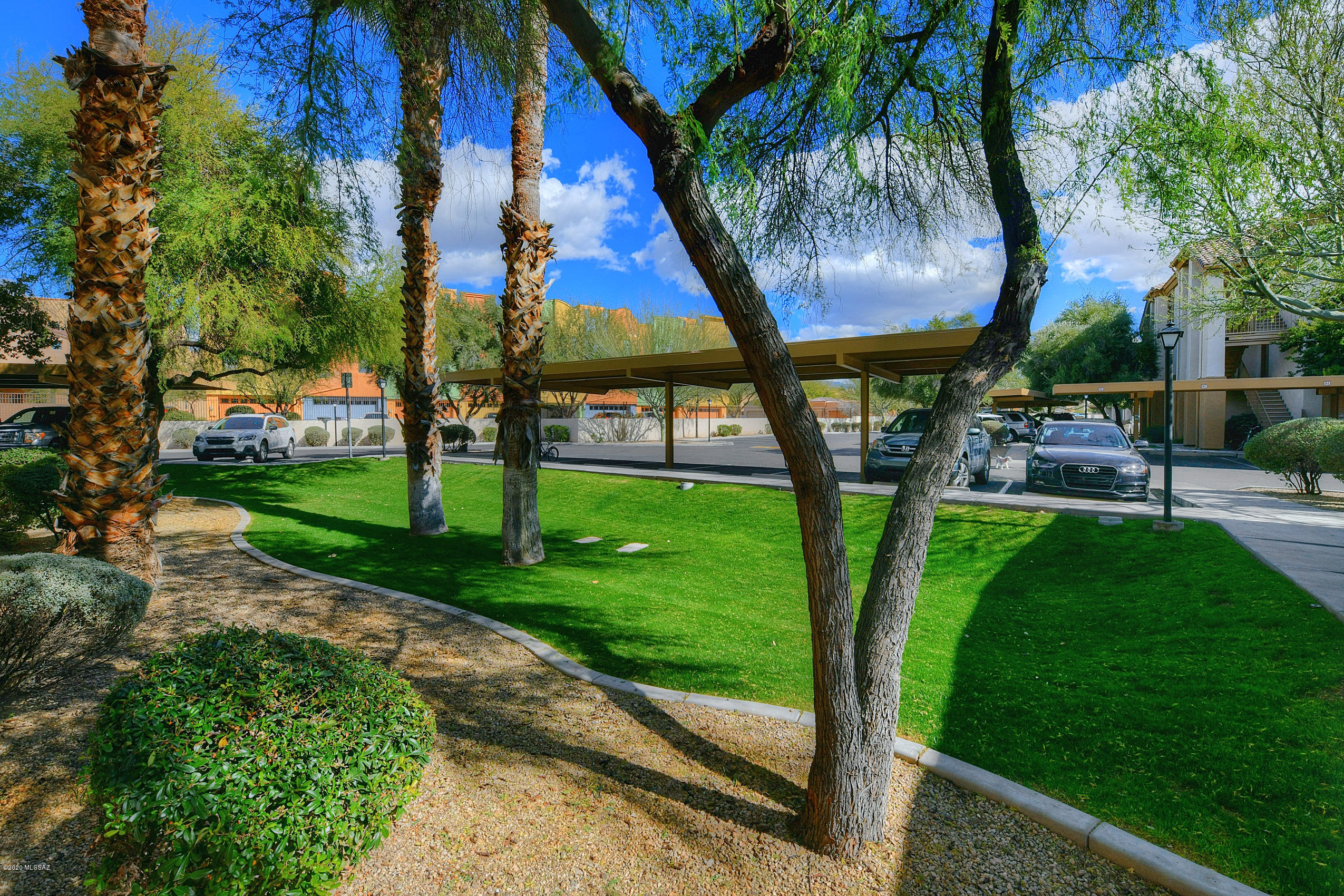 2550 East River Road, Unit 13103 Tucson, AZ 85718 - Photo 11 of 16