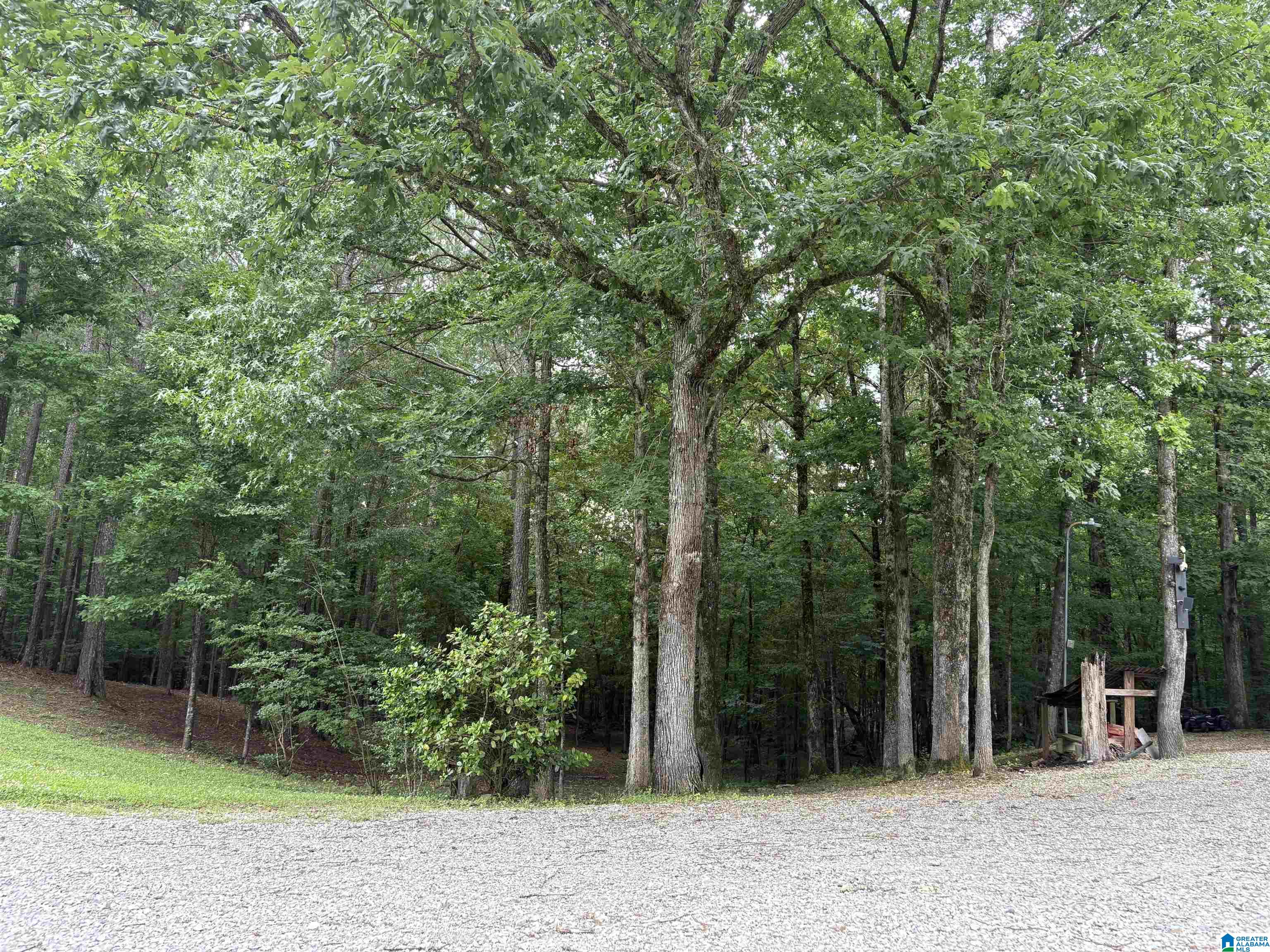 1322 Mitchellville Road Ohatchee, AL 36271 - Photo 50 of 51