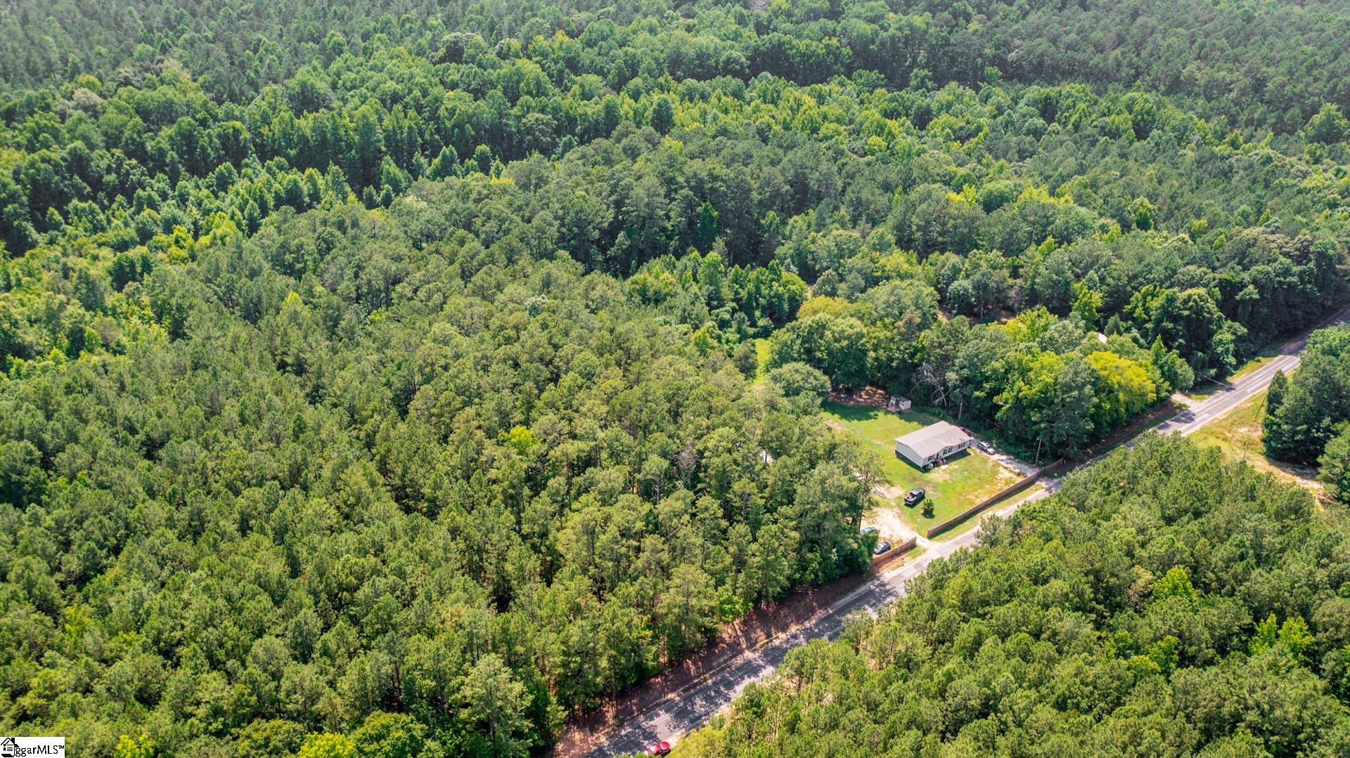 0 Stomp Springs Road Clinton, SC 29325 - Photo 4 of 15