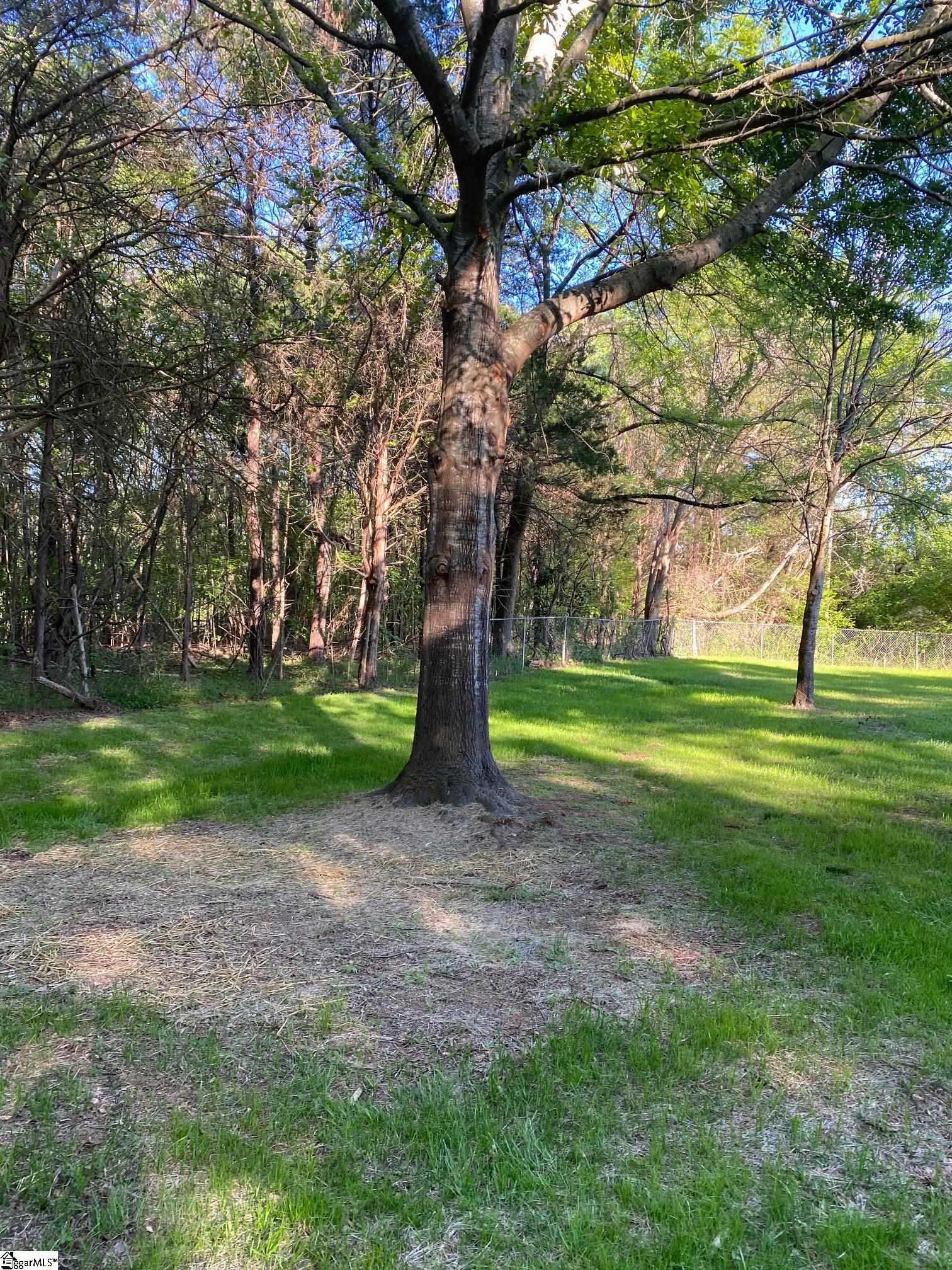 23215 East 72nd Highway Clinton, SC 29325 - Photo 8 of 41