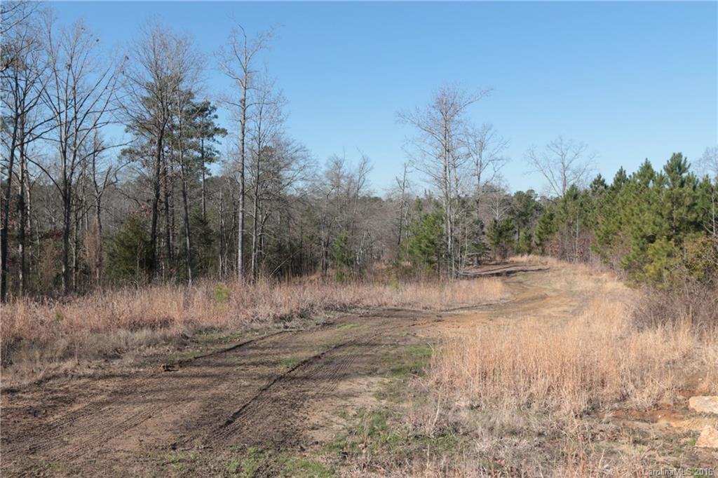 2143 Seaside Road York, SC 29745 - Photo 2 of 8 Gallery Image 2