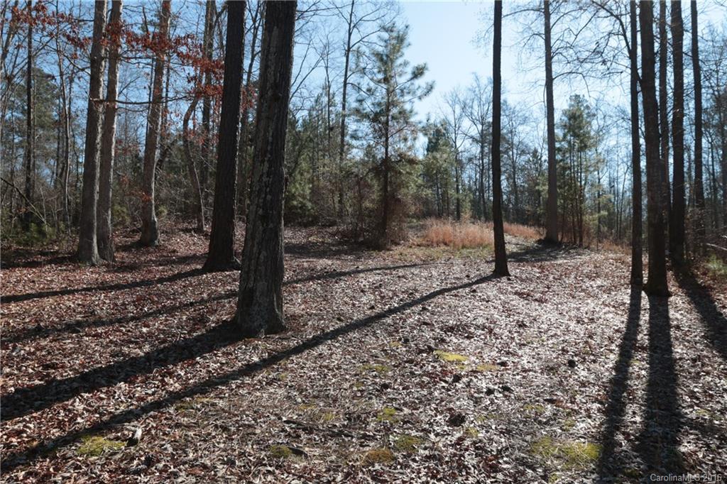 2143 Seaside Road York, SC 29745 - Photo 6 of 8 Gallery Image 6