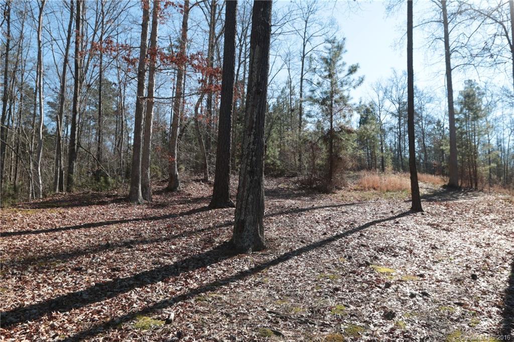 2143 Seaside Road York, SC 29745 - Photo 7 of 8 Gallery Image 7