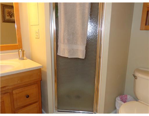 723 Tanglewood Road Hermitage, PA 16148 - Photo 9 of 18 Master Bath/Spa.