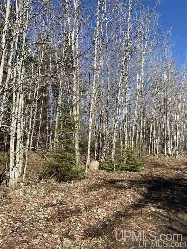 Tbd Degarmo Road Trenary, MI 49891 - Photo 25 of 34