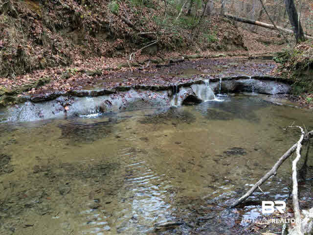 0 Legion Road Camden, AL 36726 - Photo 8 of 9