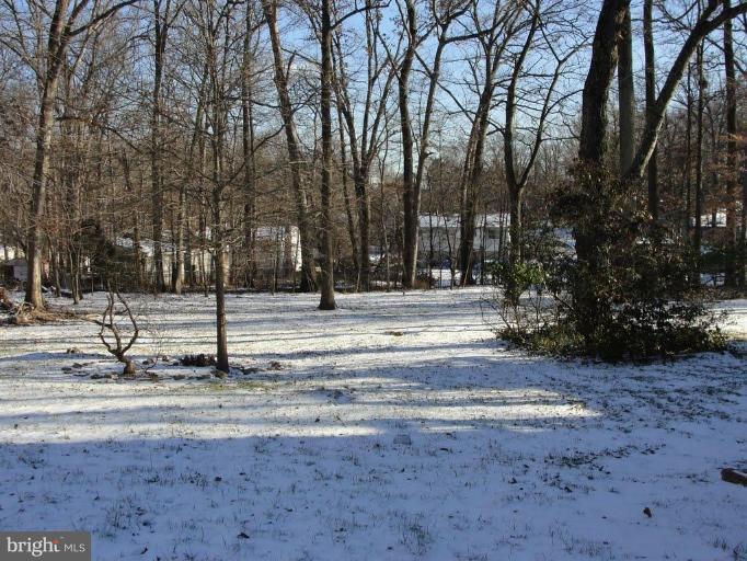 16101 Kenny Road Laurel, MD 20707 - Photo 10 of 15 Back yard