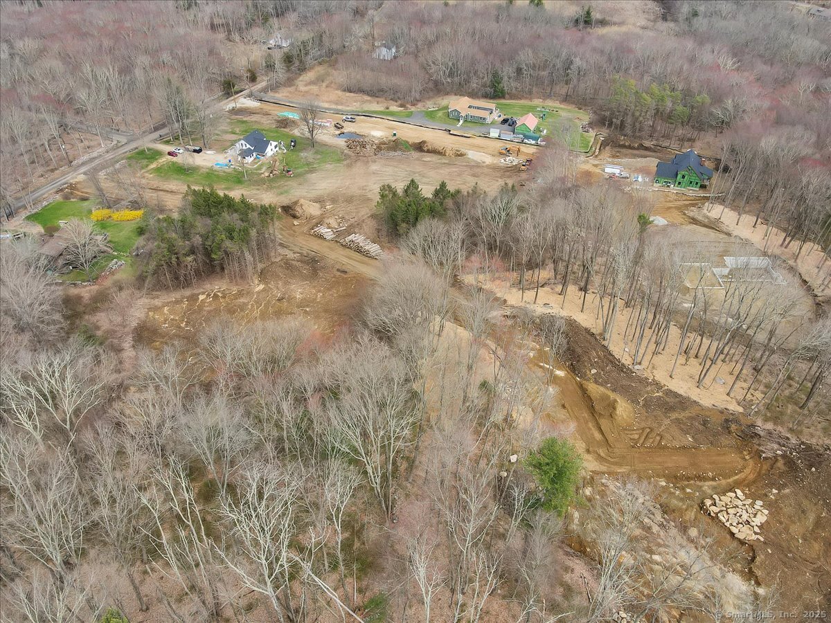 103 South Street Extension Coventry, CT 06238 - Photo 5 of 12 a view of a yard with yellow plants