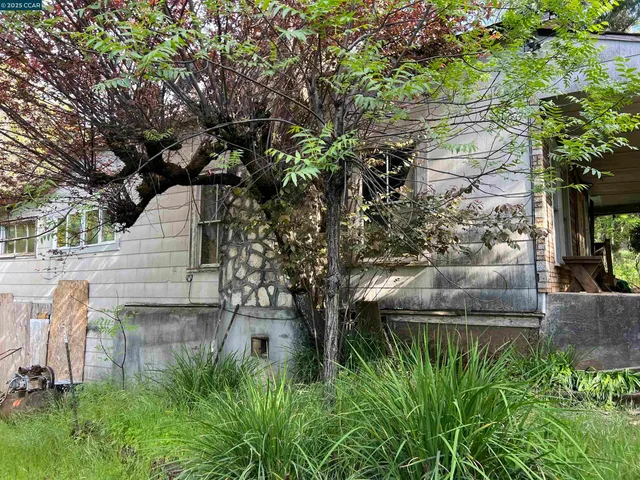 a backyard of a house with lots of green space