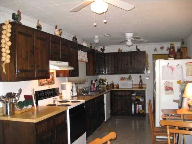 835 Johnson Road Chickamauga, GA 30707 - Photo 3 of 15 Additional Photo