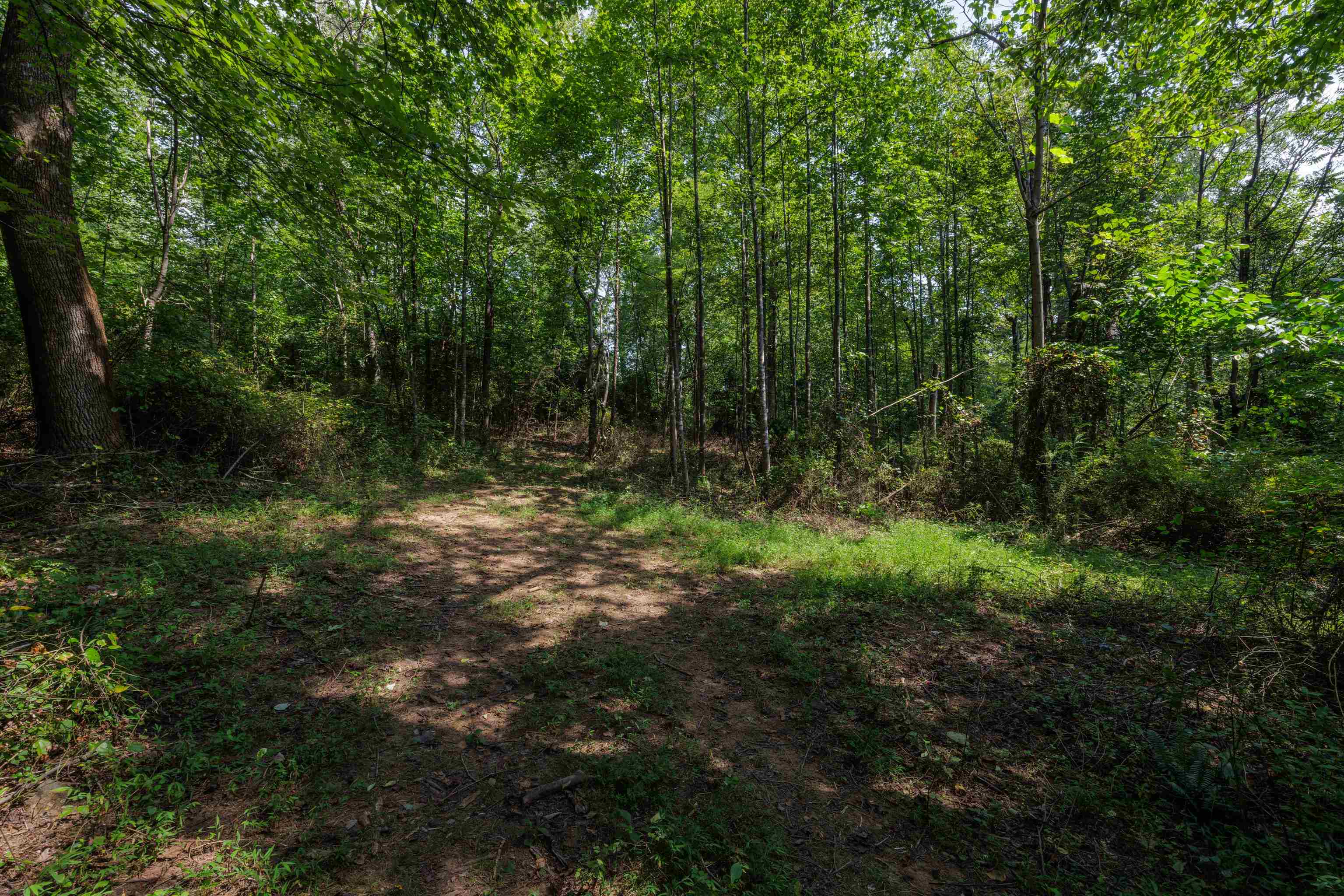 Tbd Pounding Branch Road Afton, VA 22920 - Photo 6 of 23 Gallery Image 6