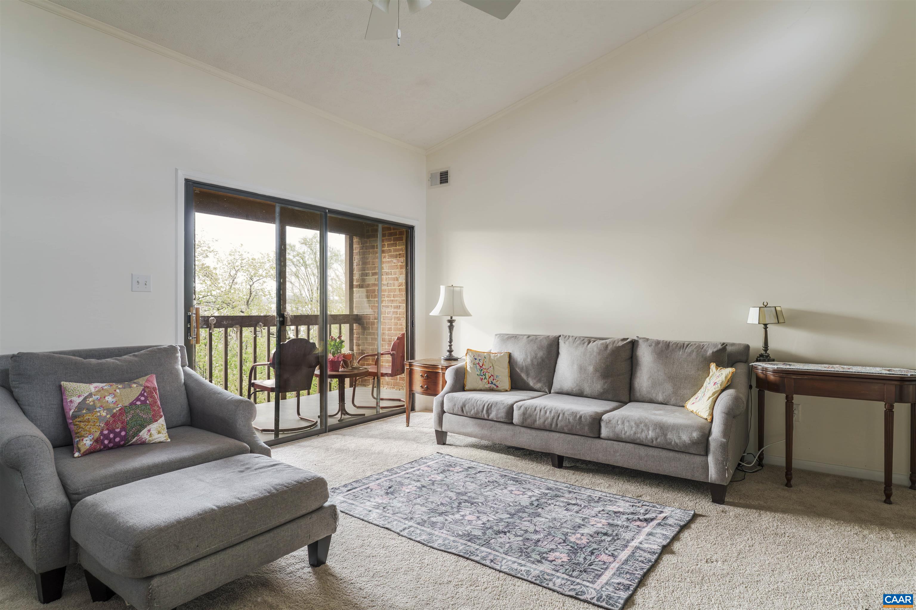 116 Turtle Creek Road, Unit 11 Charlottesville, VA 22901 - Photo 6 of 22 Great Room Vaulted ceiling