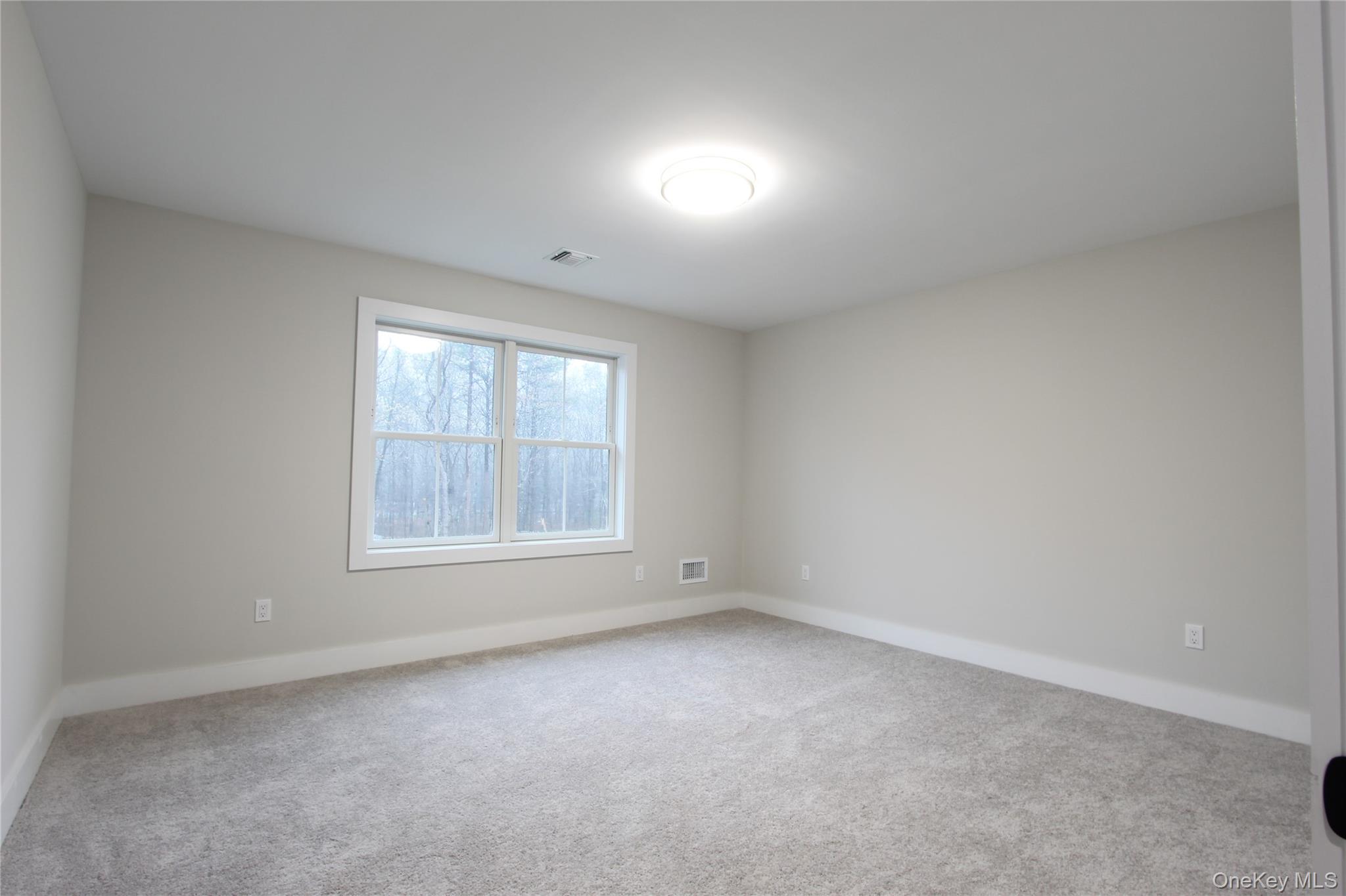 5 Colonels Path Manorville, NY 11949 - Photo 11 of 30 Carpeted empty room