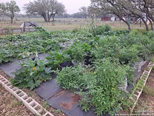 $828,900 | 623 Fm 1796, Utopia, TX 78884