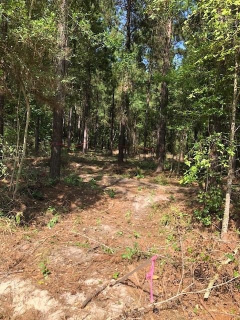 0 Kickapoo - Tract 33 Colt Ii Road Groveton, TX 75845 - Photo 2 of 3