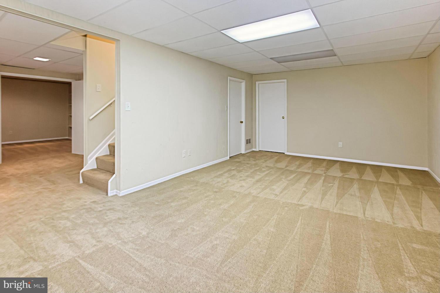 805 Nethercliffe Hall Road Great Falls, VA 22066 - Photo 22 of 30 Basement