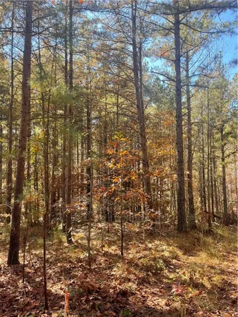 $95,000 | 214 Oakmont Court, Sunset, SC 29685