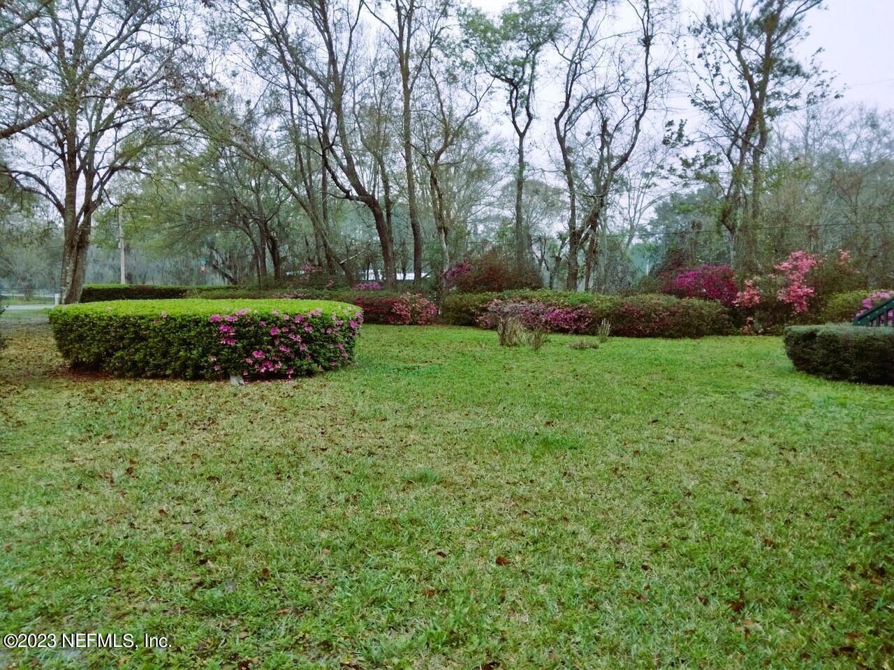 3809 Rancho Road East Jacksonville, FL 32221 - Photo 4 of 27 front yard