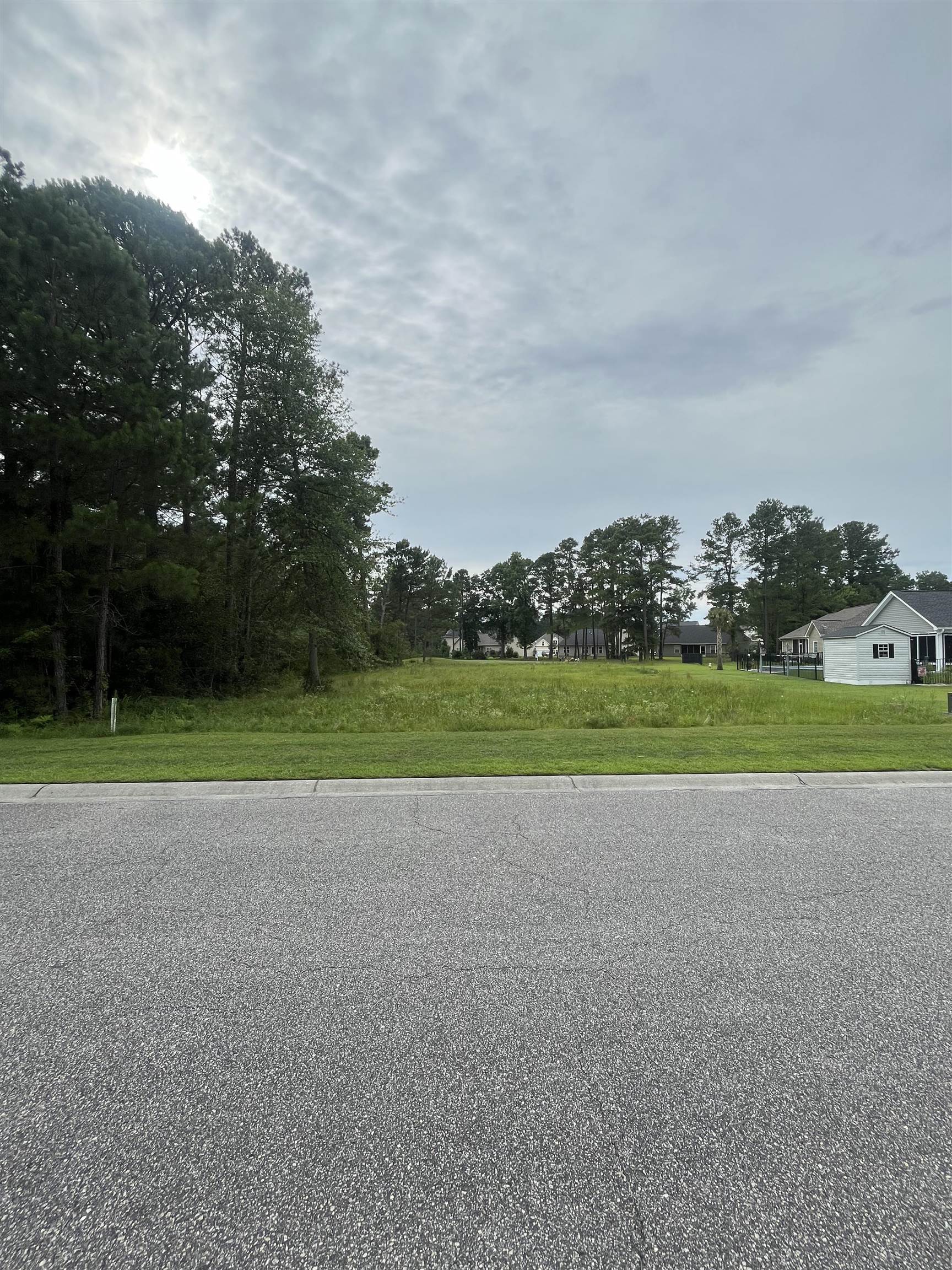 Tbd Long Meadow Drive Loris, SC 29569 - Photo 1 of 6