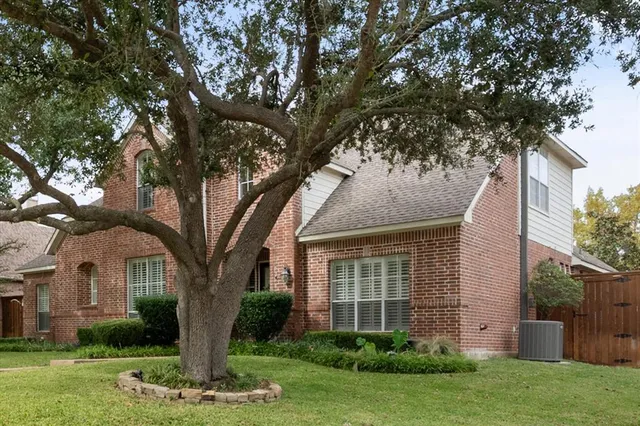 a tree in front of a house with a yard