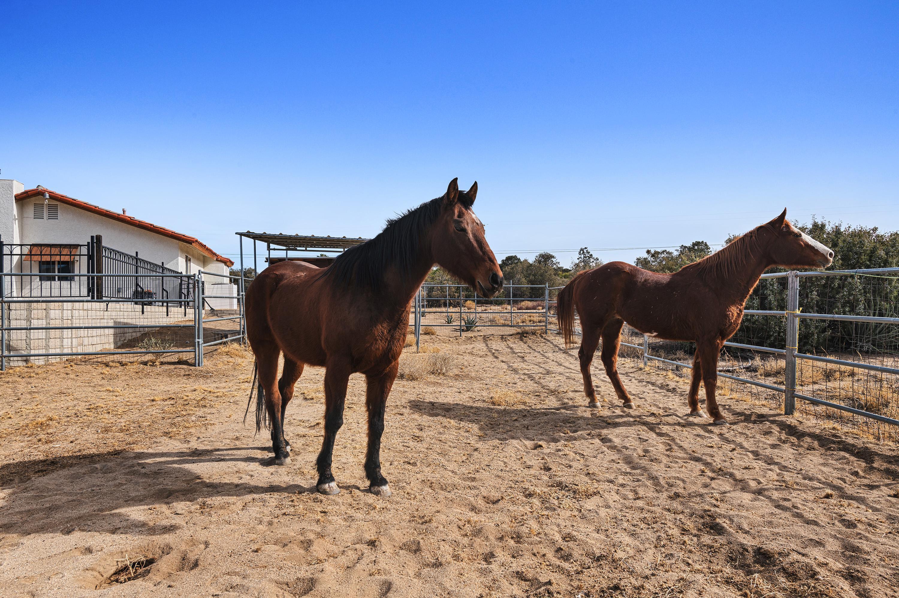 68817 Delemont Mountain Center, CA 92561 - Photo 27 of 32 2716