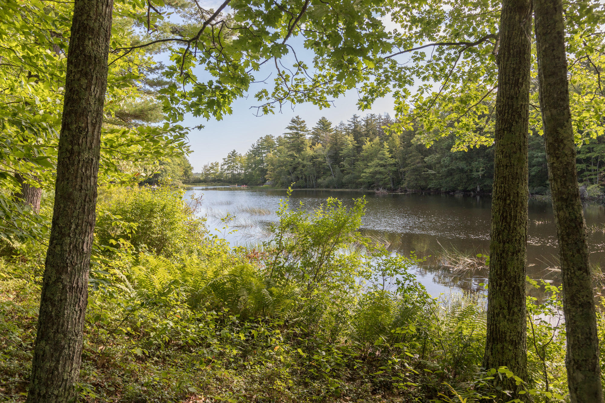 112 Poland Road Lincolnville, ME 04849 - Photo 2 of 30 8O8A9301