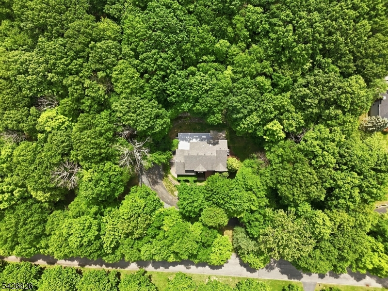 20 Indian Run Road Long Valley, NJ 07853 - Photo 2 of 50