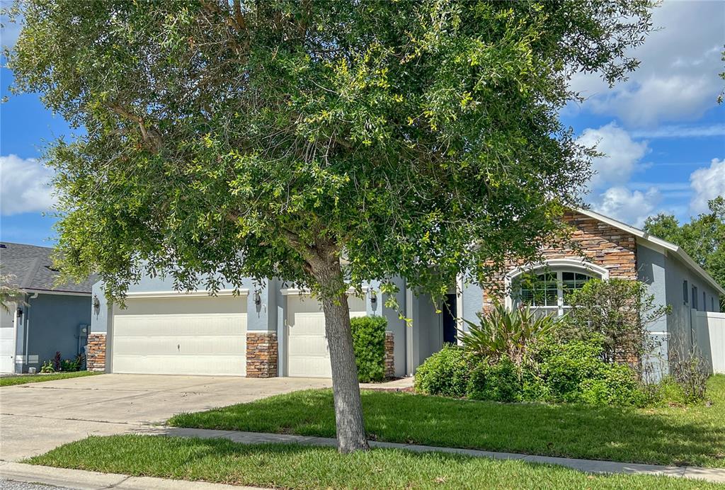 6906 Boulder Run Loop Wesley Chapel, FL 33545 - Photo 4 of 53