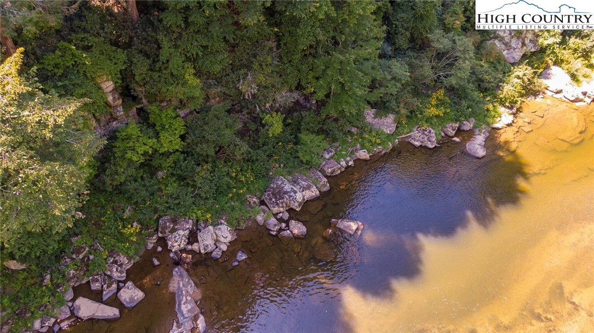 389 Auborn Trivette Road Sugar Grove, NC 28679 - Photo 41 of 49 a view of a flower arrangement in backyard