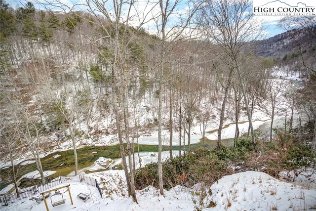 a view of a bunch of trees and bushes