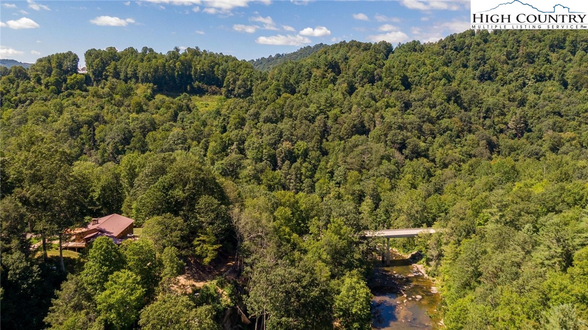 389 Auborn Trivette Road Sugar Grove, NC 28679 - Photo 46 of 49 a view of a bunch of trees and bushes