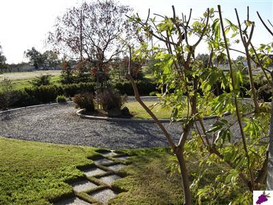17247 Anaconda Road Madera, CA 93636 - Photo 18 of 18 Gallery Image 18
