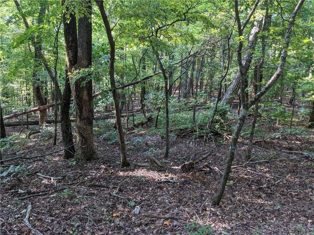 0 Hickory Cove Road Jasper, GA 30143 - Photo 1 of 1