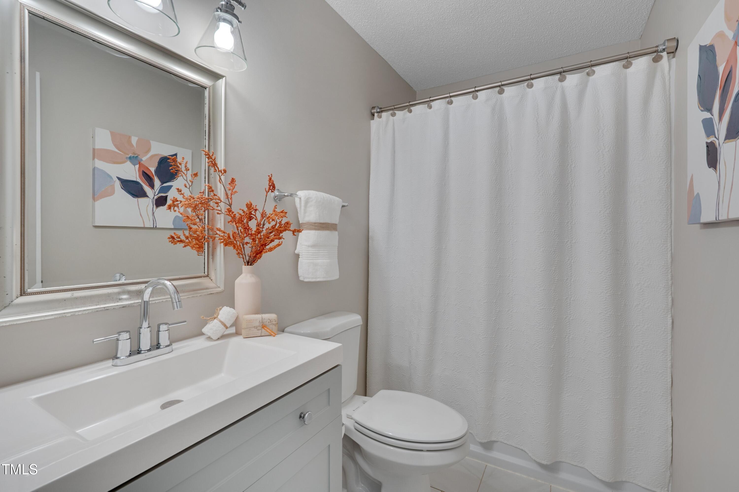 5000 Silverdene Street Raleigh, NC 27616 - Photo 10 of 12 a bathroom with a sink a toilet and a mirror