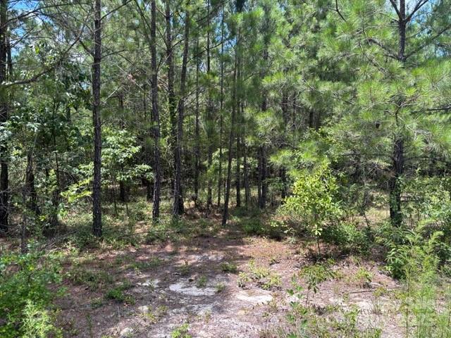 0 Feather Run Road Kershaw, SC 29067 - Photo 1 of 6 Gallery Image 1