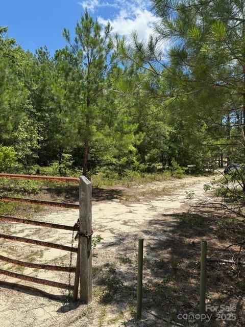 0 Feather Run Road Kershaw, SC 29067 - Photo 3 of 6 Gallery Image 3
