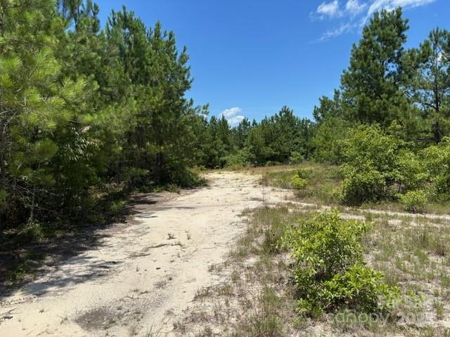 0 Feather Run Road Kershaw, SC 29067 - Photo 5 of 6 Gallery Image 5