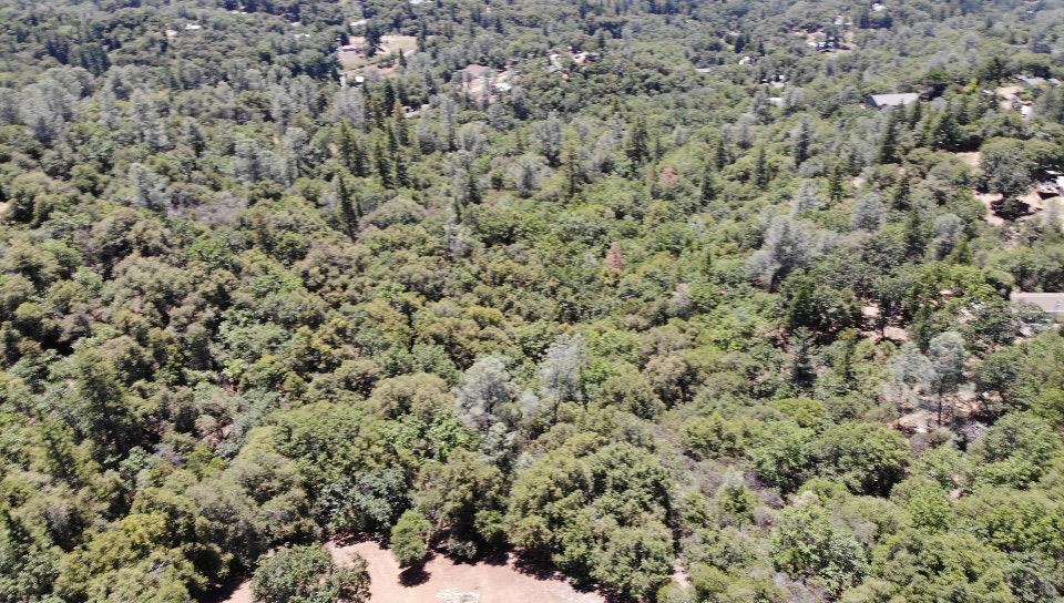 0 Bowman Road Pine Grove, CA 95665 - Photo 23 of 30