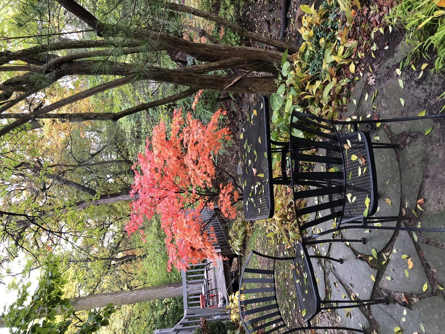 11515 Burr Oak Lane Burr Ridge, IL 60527 - Photo 62 of 73