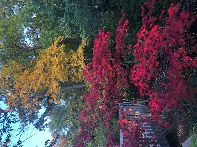 $975,000 | 11515 Burr Oak Lane, Burr Ridge, IL 60527